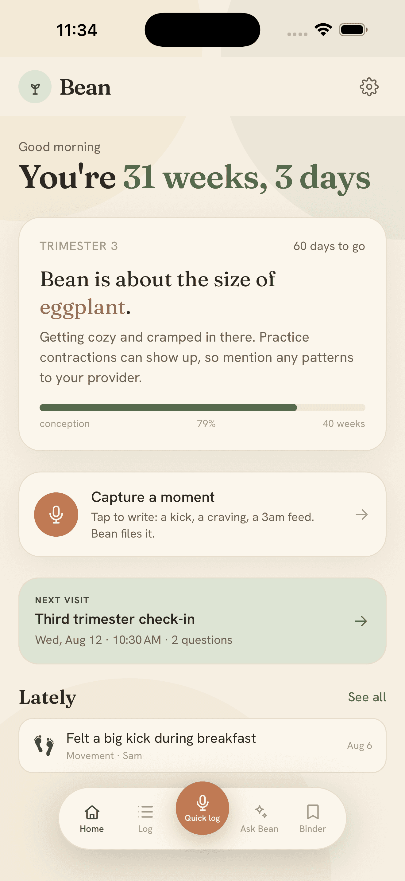 Bean app home screen showing pregnancy progress and this week's development